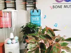 -骨头音乐Bone Music·架子鼓·小军鼓·打击乐(花木校区)