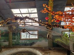 -西霞口神雕山野生动物世界