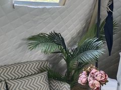 -安德鲁户外烧烤帐篷营地(马泉营店)