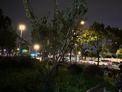 -九鼎轩脆毛肚火锅(三钢里店)