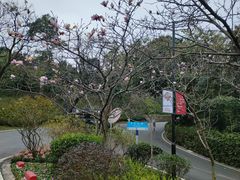 -广州市白云山风景名胜区