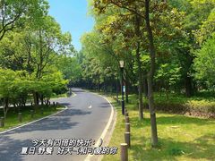 -宝界山林公园