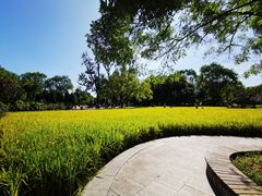 -北坞公园