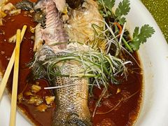 清蒸鲈鱼-大鸭梨(天通西苑店)
