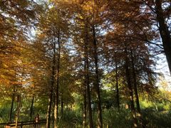 -梁鸿国家湿地公园