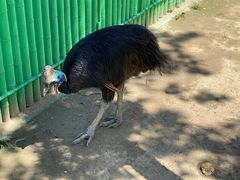 -西霞口神雕山野生动物世界