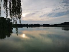 -大兴滨河森林公园