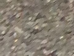 -黑色经典臭豆腐·湖南特产(步行街店)