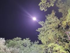 -记忆串城·东北烧烤·小龙虾·大型团建(南油店)
