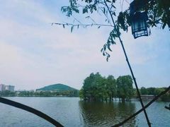 -东湖食堂·湖景餐厅•会议
