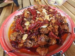 -柴窝堡22号辣子鸡·传承新疆菜