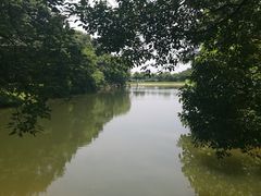 -象山森林公园