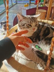 -萌宠亲子动物乐园(槐房万达店)