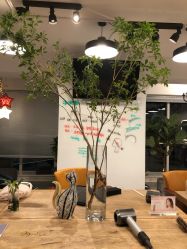 -净漪造型 PURE RIPPLE