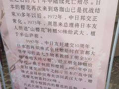 -武汉大学-樱园