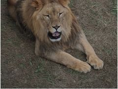 -青藏高原野生动物园