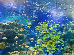 -海合安成都极地海洋公园