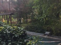 -咸宁万豪温泉谷度假区