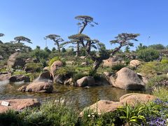 -罗红摄影艺术馆