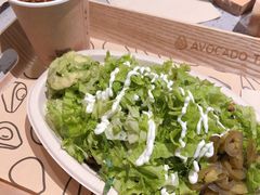 -油梨树AVOCADO TREE(嘉里中心店)