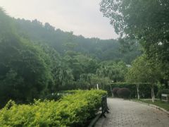 -乳源丽宫国际温泉酒店