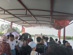 -白洋淀景区