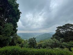 -黄埔油麻山森林公园