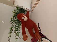 -捕螺记螺蛳粉(东关大街店)