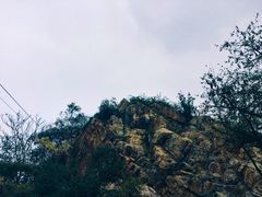 -紫金山天文台