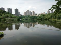 -重庆彩云湖湿地公园