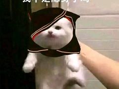 -北京凤凰岭