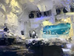 -华夏文旅海洋公园