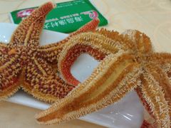 海星-海岛渔村大酒店(云霄路店)