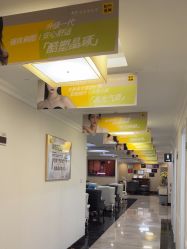 -深圳阳光医疗美容医院·旗舰店