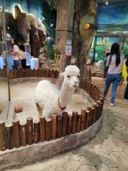 -宝燕乐园(闵行旗舰店)