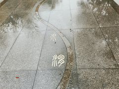 -渭滨公园