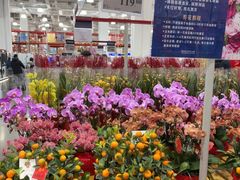 -山姆会员商店(上海浦东店)