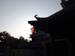 -荔湾湖公园