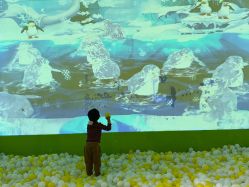 -宝燕乐园(闵行旗舰店)