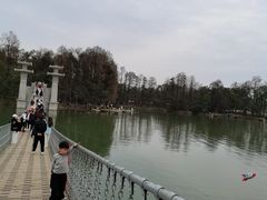 -东湖落雁景区