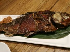 -茶花妹子云南餐厅(传媒大学店)