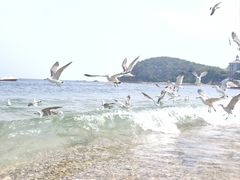 -棒棰岛宾馆景区