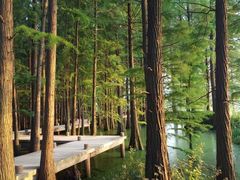 -东湖落雁景区