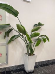 -上海首尔丽格医疗美容医院