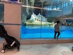 -帝企鹅自助餐厅•儿童岛•真企鹅(长隆企鹅酒店)