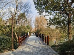-苏州太湖国家湿地公园