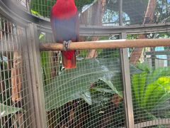 -大连森林动物园