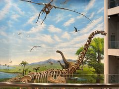 -辽宁古生物博物馆