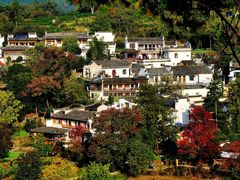 -塔川景区
