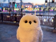 -哈蒙德餐厅
